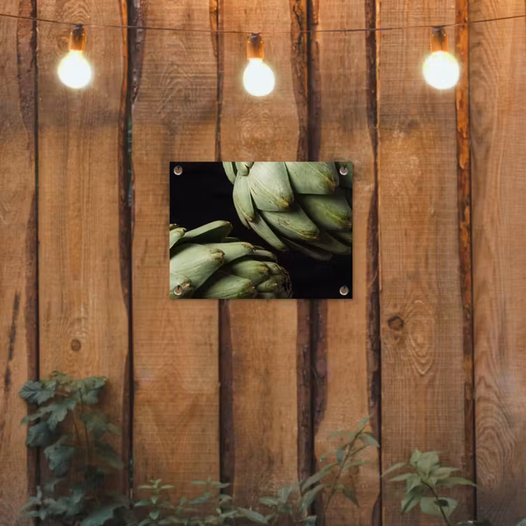 Tuinposter - Artisjok - Groen - Eten - Artisjok - Groen - Eten tuinposter los doek klein