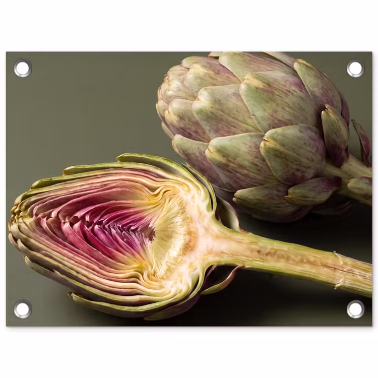 Tuinposter - Artisjok - Paars - Voedsel - Artisjok - Paars - Voedsel tuinposter los doek klein
