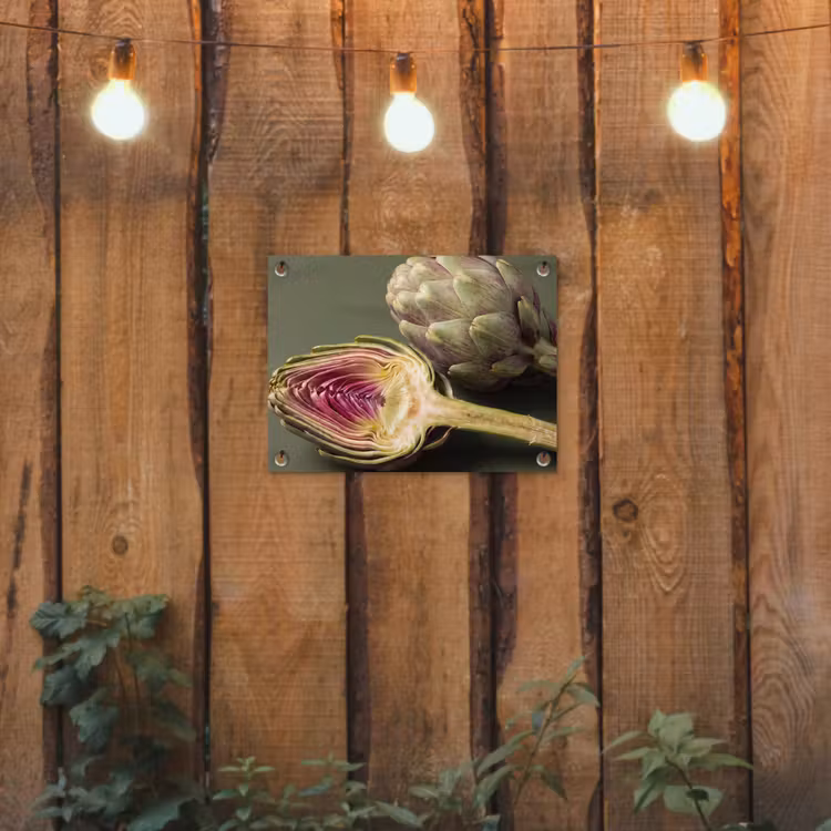 Tuinposter - Artisjok - Paars - Voedsel - Artisjok - Paars - Voedsel tuinposter los doek klein