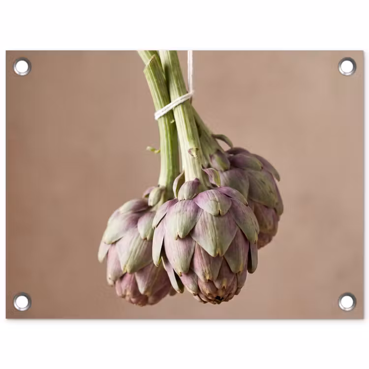 Tuinposter - Artisjokken - Hangend - Groenten - Artisjokken - Hangend - Groenten tuinposter los doek klein