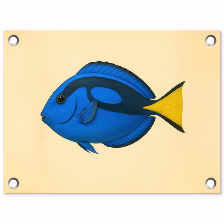 Blauw - Dory - Vis - Staartvin tuinposter los doek klein -3d
