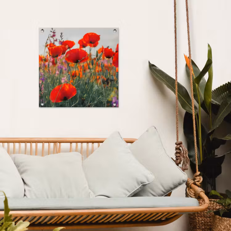 Bloeipracht van Klaprozen tuinposter los doek klein -sfeer7