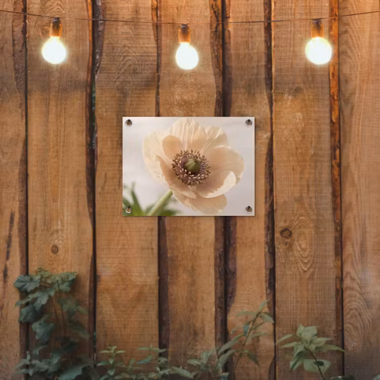 Bloem - Minimalistisch - Groen tuinposter los doek klein -sfeer1