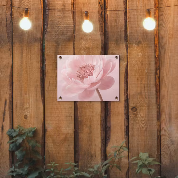 Bloem - Pioenroos - Roze tuinposter los doek klein -sfeer1