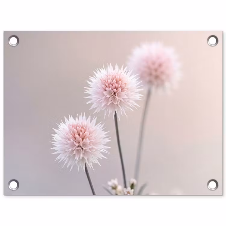 Bloemen - Bollen - Roze tuinposter los doek klein -3d