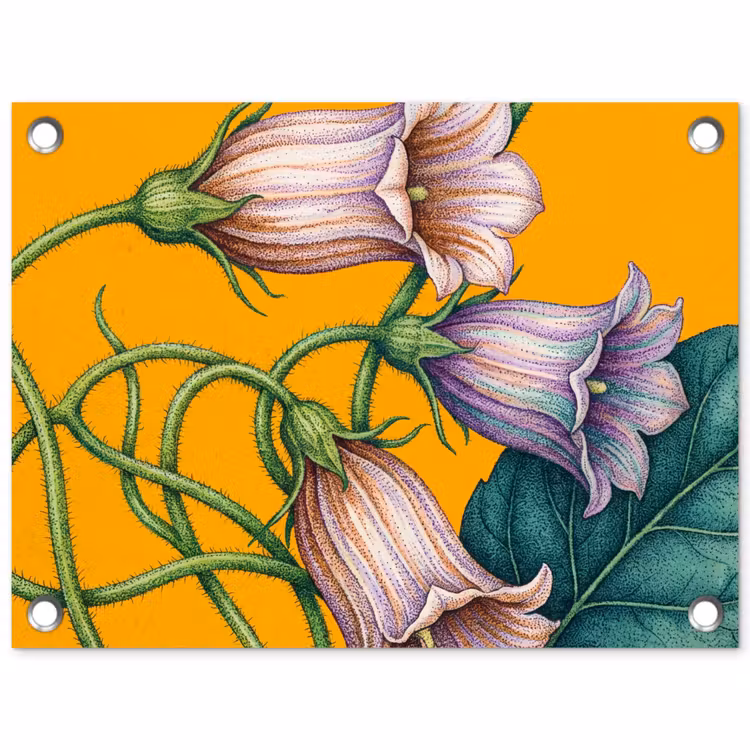 Tuinposter - Bloemen - Botanisch - Geel - Bloemen - Botanisch - Geel tuinposter los doek klein