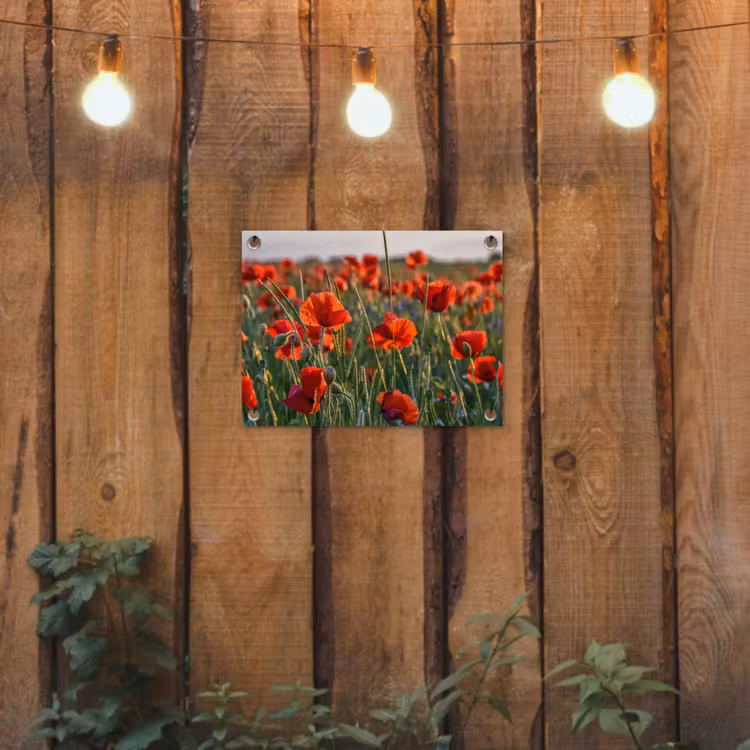 Bloemen - Klaprozen - Natuur - Rood tuinposter los doek klein -sfeer1