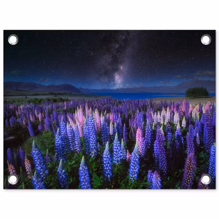 Bloemen - Nacht - Lupine - Sterrenhemel - Paars - Natuur tuinposter los doek klein -3d