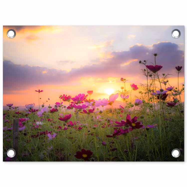 Bloemen - Roze - Zonsondergang - Natuur - Weide - Horizon tuinposter los doek klein -3d