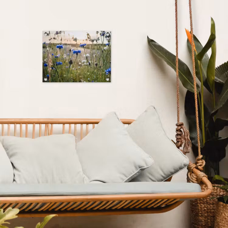 Bloemen - Zomer - Korenbloem - Blauw - Zon - Wolken tuinposter los doek klein -sfeer7