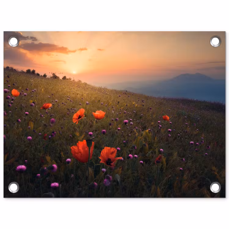 Bloemenveld - Gras - Bloemen - Planten - Zonsondergang - Oranje tuinposter los doek klein -3d