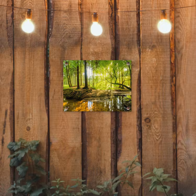 Bos - Landschap - Water - Bomen - Zon - Groen - Natuur tuinposter los doek klein -sfeer1