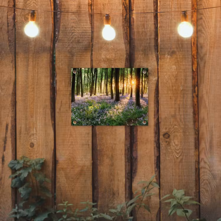 Bos met blauwe hyacinten bij zonsopgang tuinposter los doek klein -sfeer1