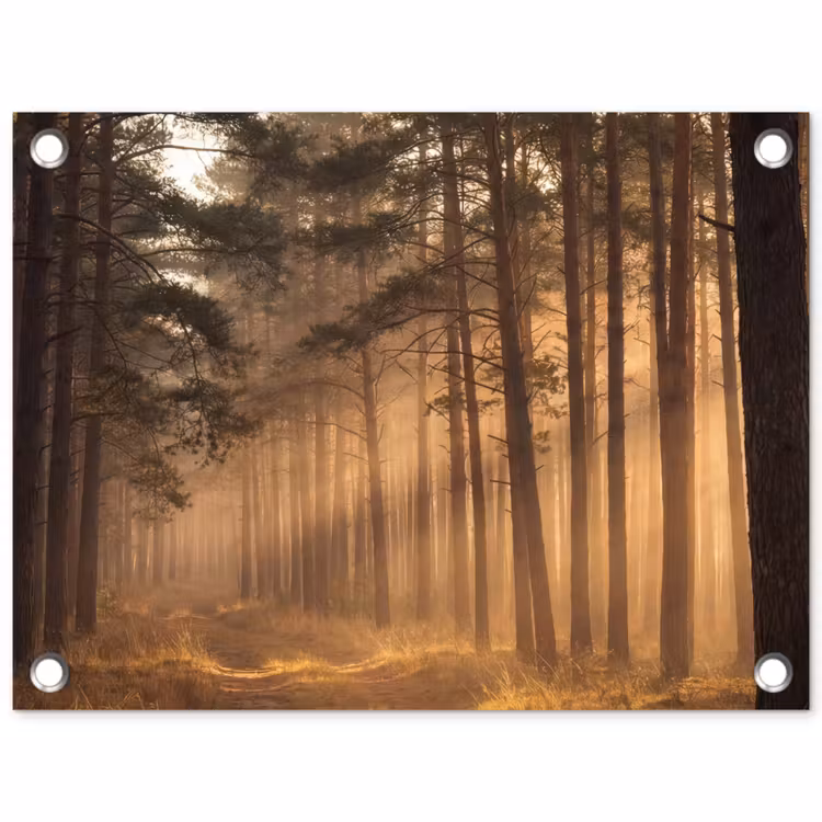 Bos - Mist - Zonlicht tuinposter los doek klein -3d
