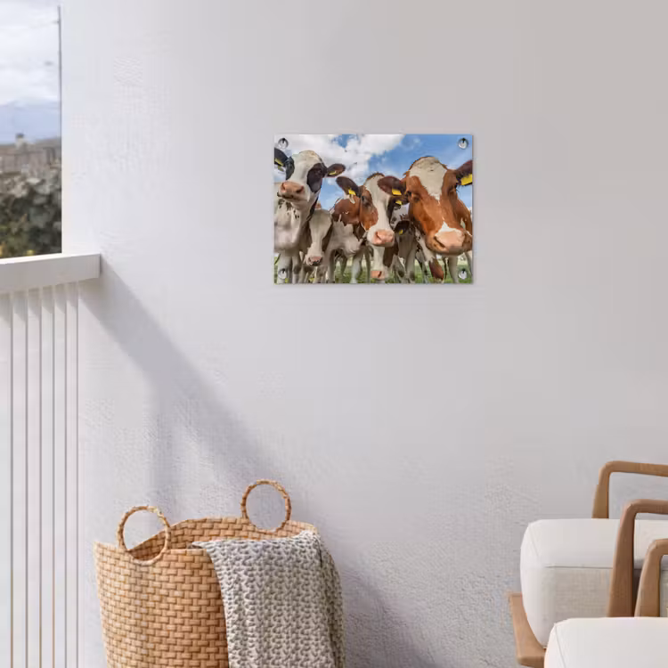 Bruin-witte koeien in de wei tuinposter los doek klein -sfeer8