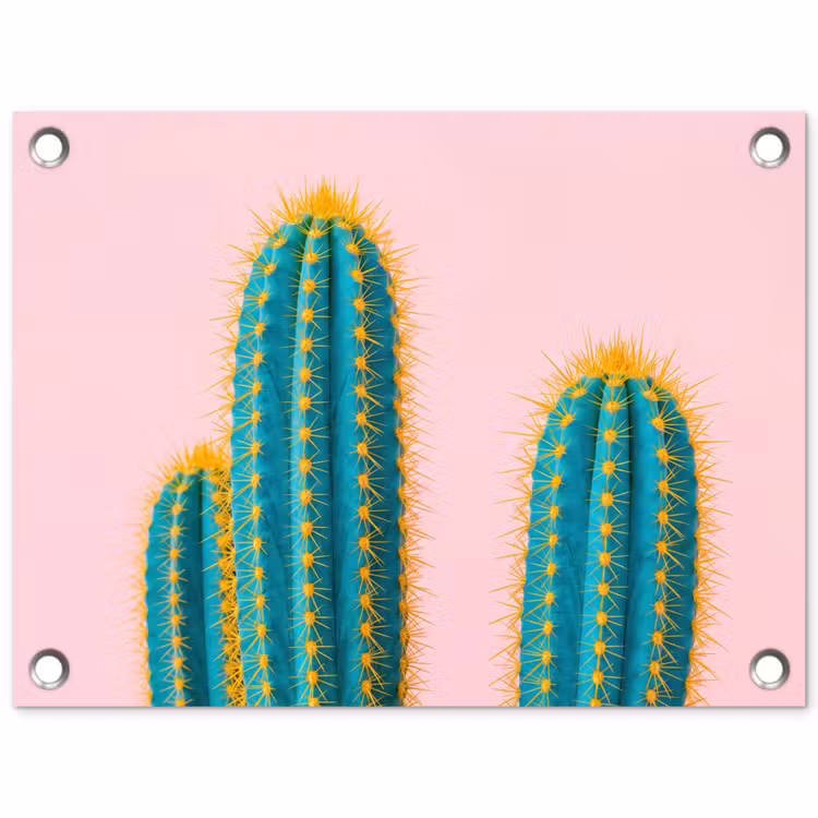 Cactussen - Modern - Pastel tuinposter los doek klein -3d