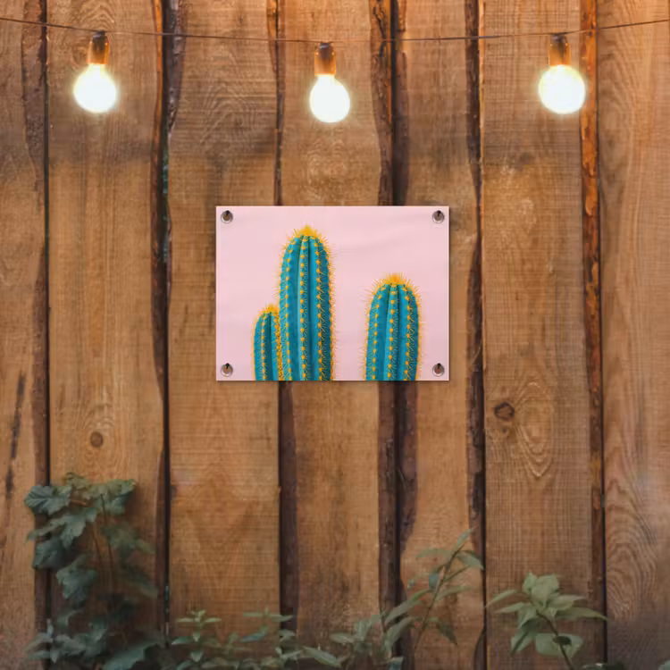 Cactussen - Modern - Pastel tuinposter los doek klein -sfeer1
