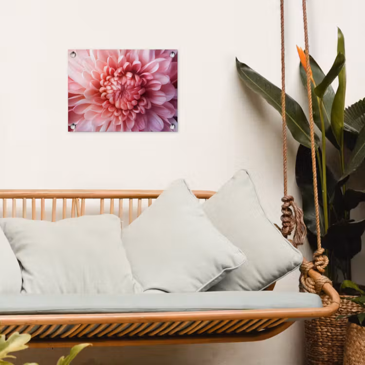 Dahlia - Bloem - Close up - Roze tuinposter los doek klein -sfeer7