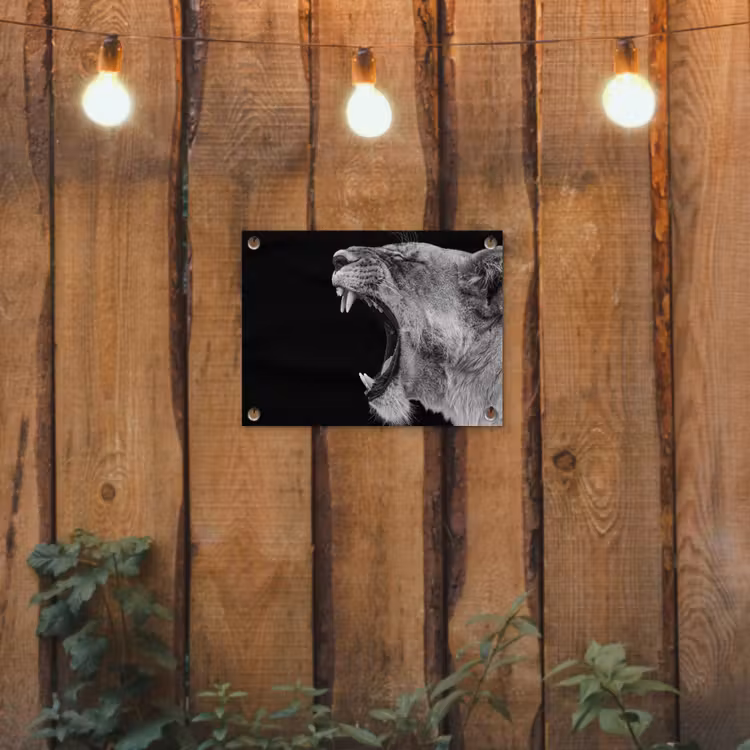 Dieren - Leeuw - Zwart - Wit - Portret tuinposter los doek klein -sfeer1