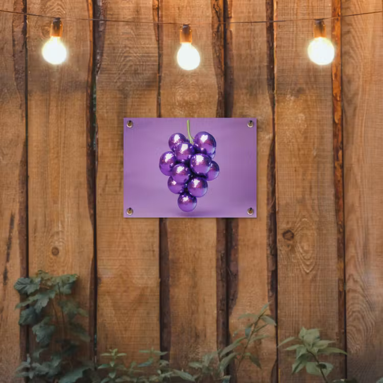 Druif - Disco - Glitter - Paars tuinposter los doek klein -sfeer1