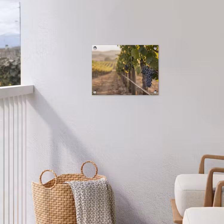 Druiven - Wijngaard - Zonlicht tuinposter los doek klein -sfeer8