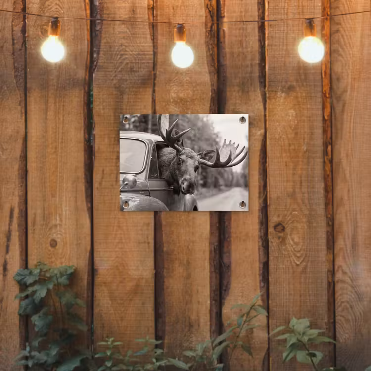 Eland - Auto - Gewei - Zwart - Wit tuinposter los doek klein -sfeer1