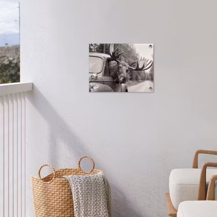 Eland - Auto - Gewei - Zwart - Wit tuinposter los doek klein -sfeer8