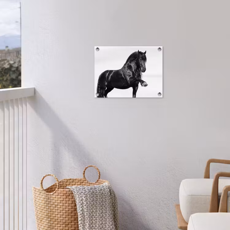 Fries - Hengst - Modern tuinposter los doek klein -sfeer8