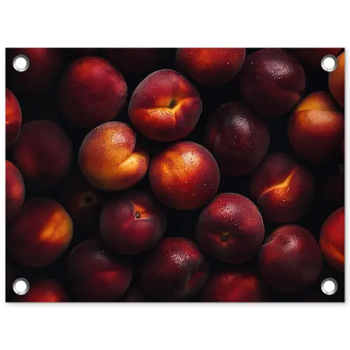 Fruit - Close up - Nectarines tuinposter los doek klein -3d