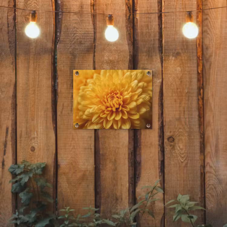Geel - Chrysant - Zachtheid tuinposter los doek klein -sfeer1