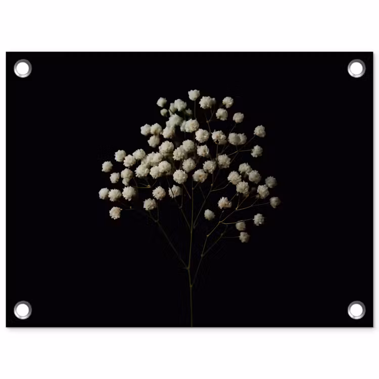 Gipskruid - Bloemetjes - Wit - Minimalistisch tuinposter los doek klein -3d
