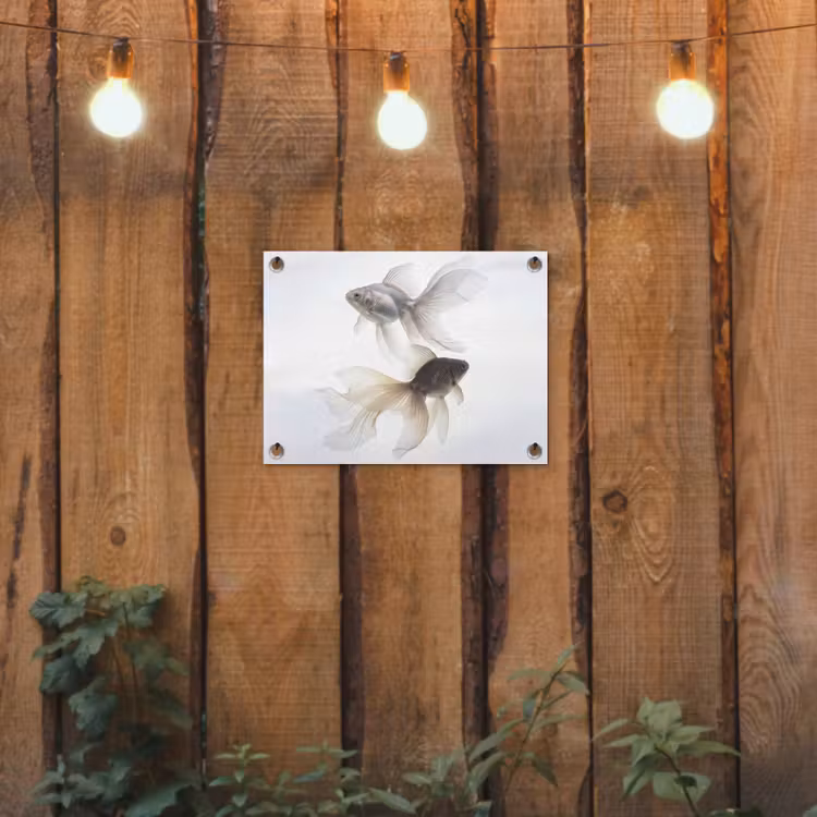 Goudvissen - Modern - Wit tuinposter los doek klein -sfeer1