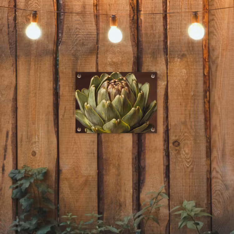Tuinposter - Groente - Artisjok - Groen - Groente - Artisjok - Groen tuinposter los doek klein