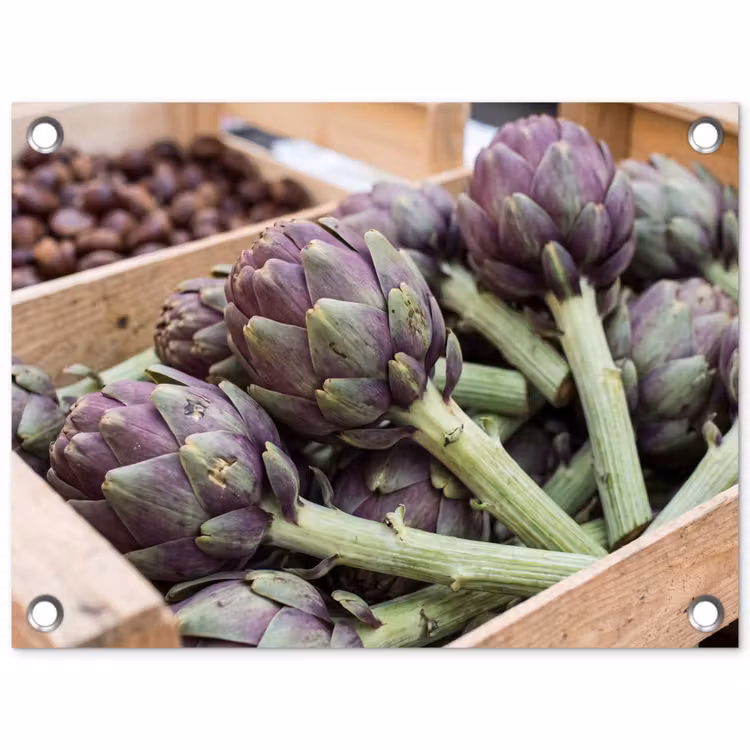 Tuinposter - Groenten - Markt - Vers - Groenten - Markt - Vers tuinposter los doek klein
