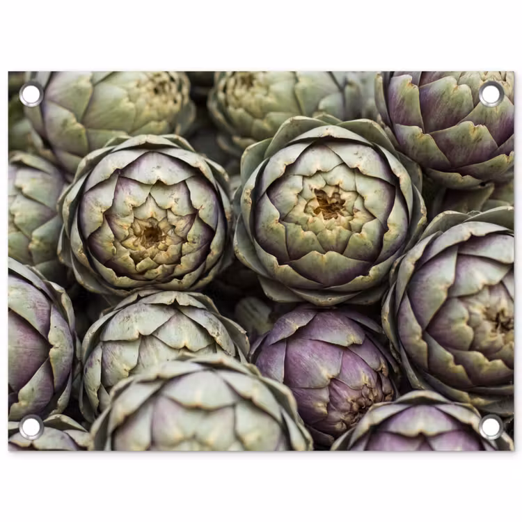 Tuinposter - Groenten - Vers - Eten - Groenten - Vers - Eten tuinposter los doek klein