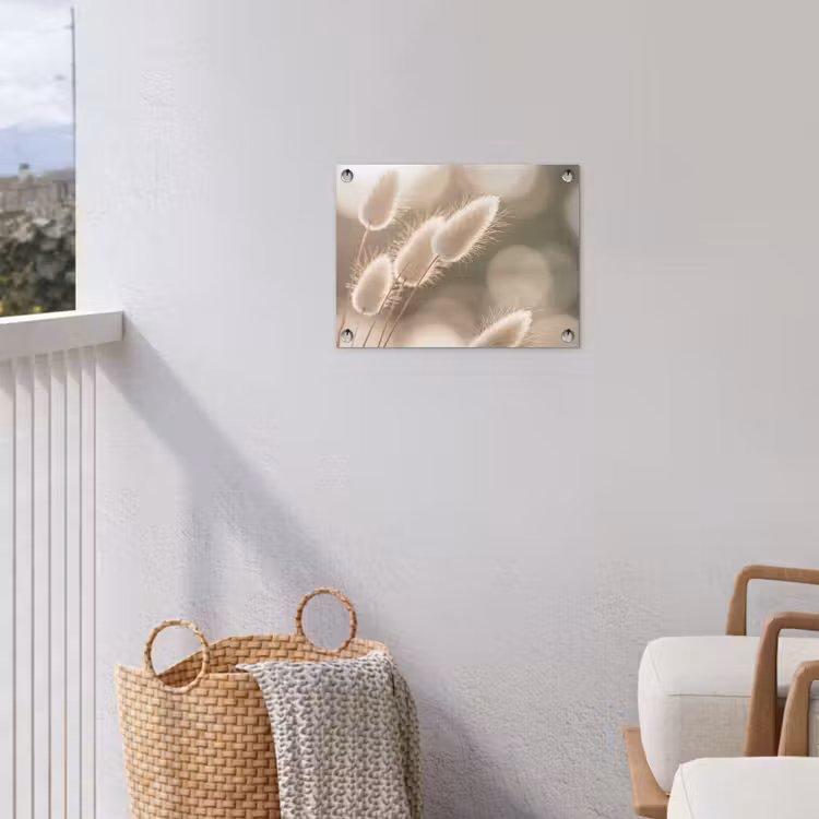 Hazestaartgras - Wit - Zonlicht tuinposter los doek klein -sfeer8