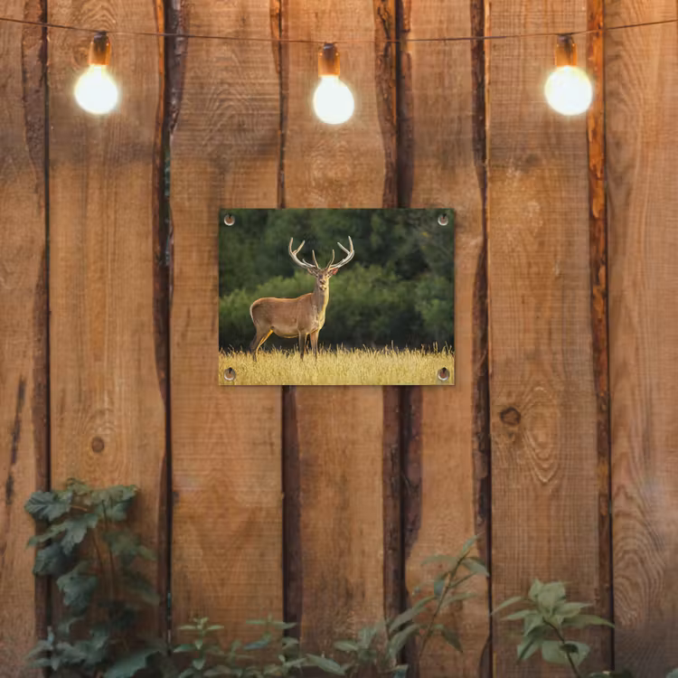 Hert - Gewei - Gras - Natuur - Dieren - Groen tuinposter los doek klein -sfeer1