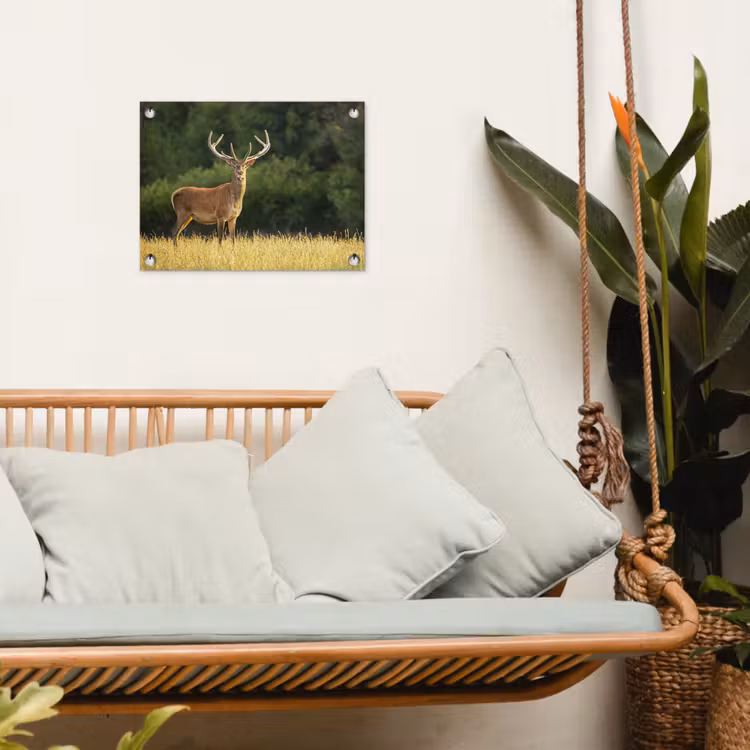 Hert - Gewei - Gras - Natuur - Dieren - Groen tuinposter los doek klein -sfeer7