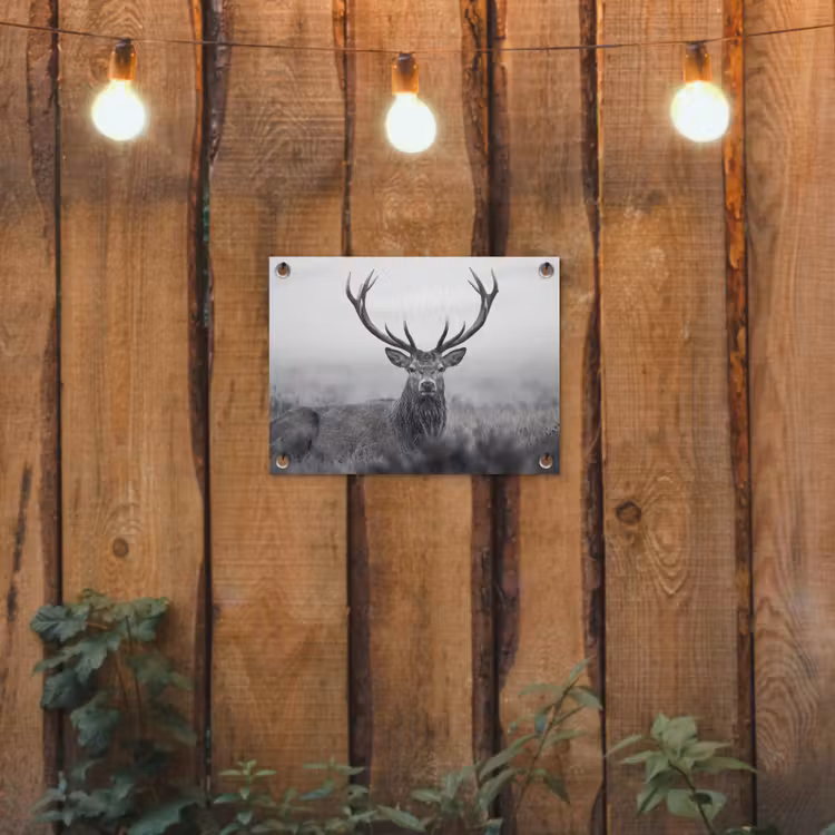 Hert - Mistig - Zwart - Wit tuinposter los doek klein -sfeer1