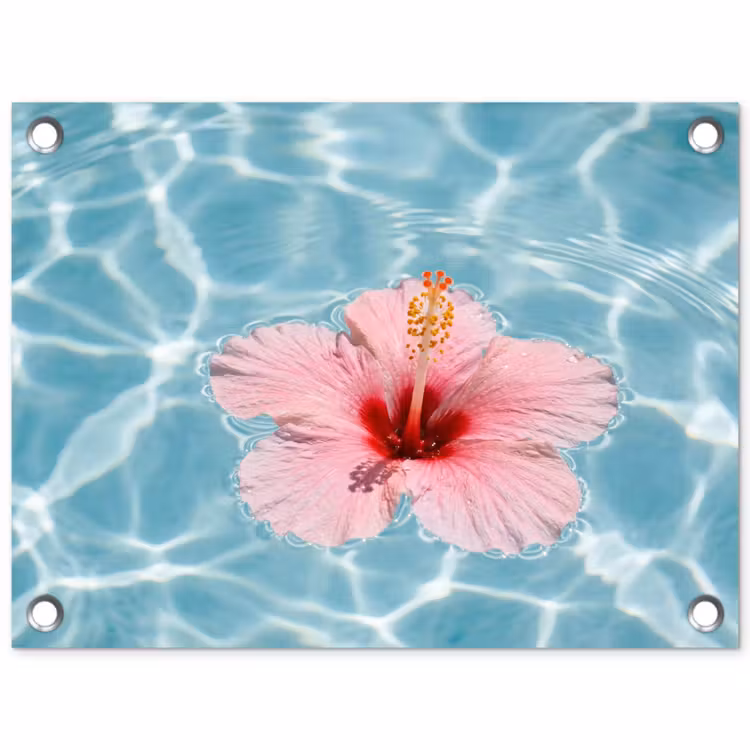 Hibiscus - Water - Roze tuinposter los doek klein -3d