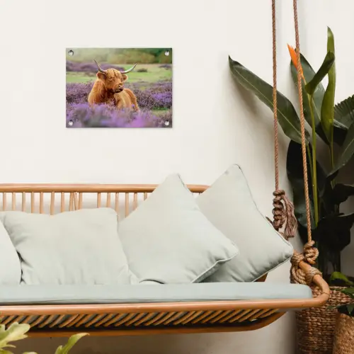 Hooglander in de Heide tuinposter los doek klein -sfeer7