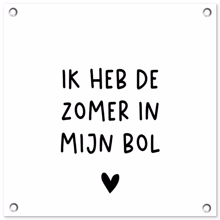 Ik heb de zomer in mijn bol - André Hazes - Spreuken - Quotes tuinposter los doek klein -3d