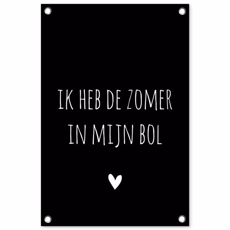 Ik heb de zomer in mijn bol - Quotes - Spreuken - André Hazes tuinposter los doek klein -3d