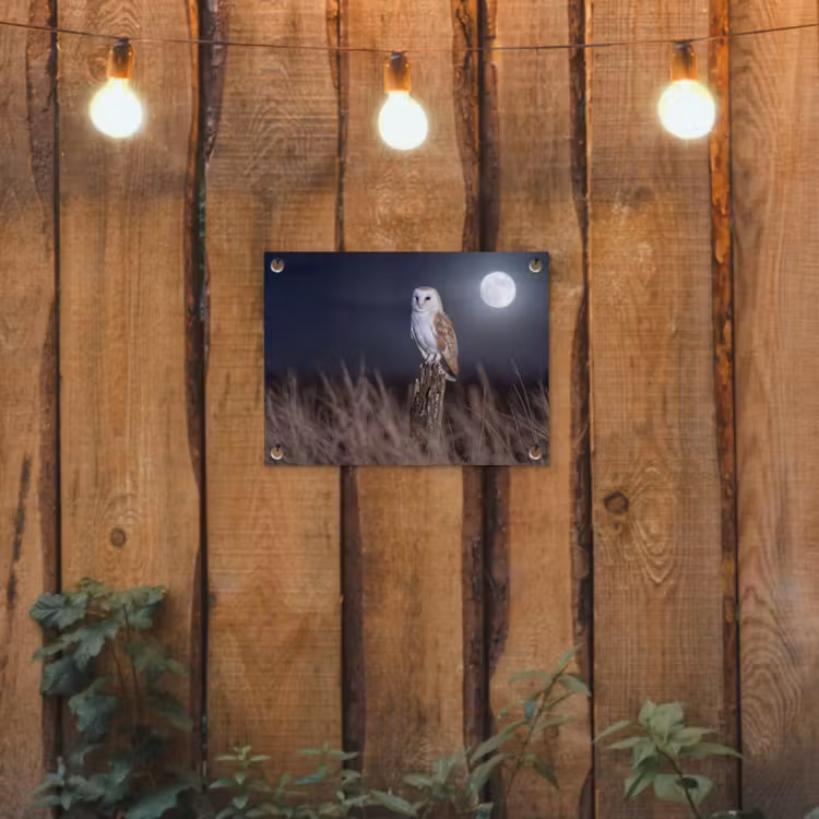 Kerkuil - Maan - Nacht tuinposter los doek klein -sfeer1
