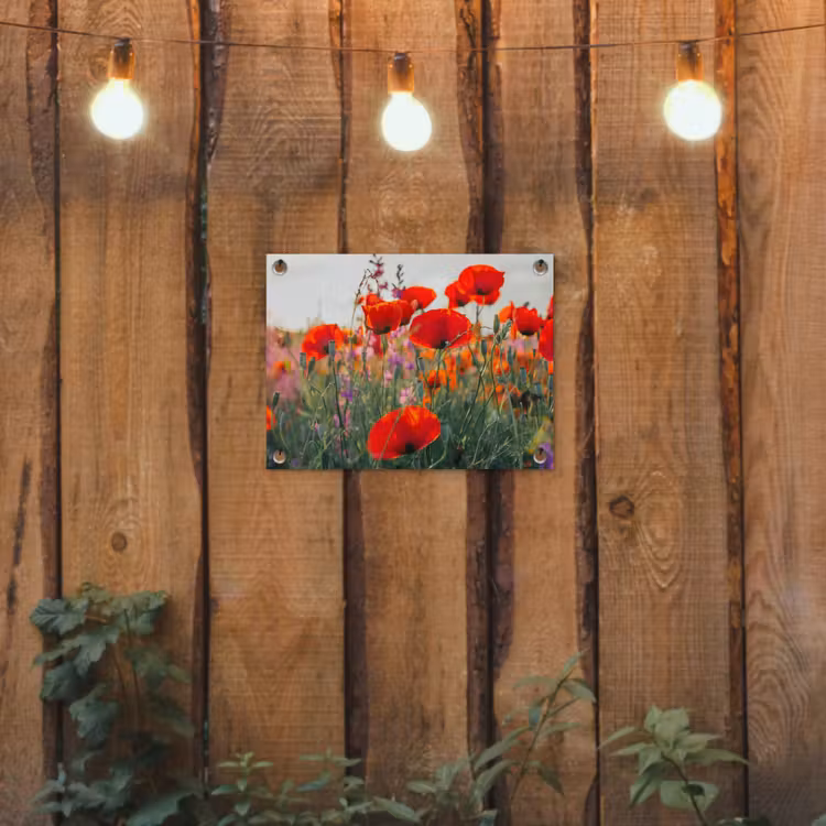 Klaproos - Bloemen - Rood - Paars - Weide tuinposter los doek klein -sfeer1