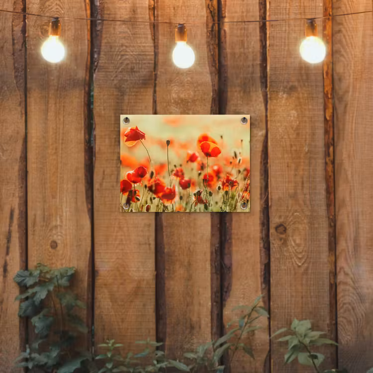 Klaprozen - Bloemen - Rood - Bloemenveld tuinposter los doek klein -sfeer1