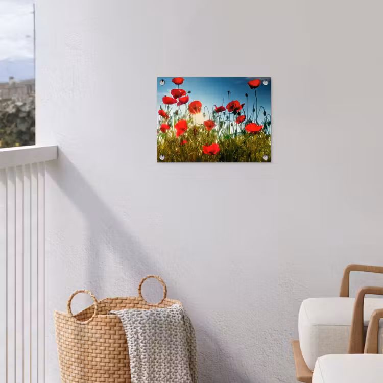 Klaprozen in ochtendlicht tuinposter los doek klein -sfeer8