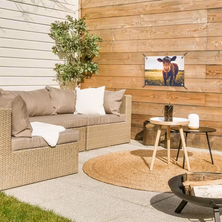 Koe bij zonsondergang op een veld vol paardenbloemen tuinposter los doek klein -sfeer4