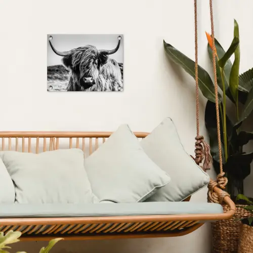 Koe - Schotse hooglander - Zwart - Wit - Dier - Natuur - Wild tuinposter los doek klein -sfeer7