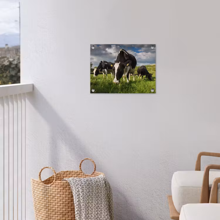 Koeien - Dieren - Gras - Weiland - Boerderij tuinposter los doek klein -sfeer8
